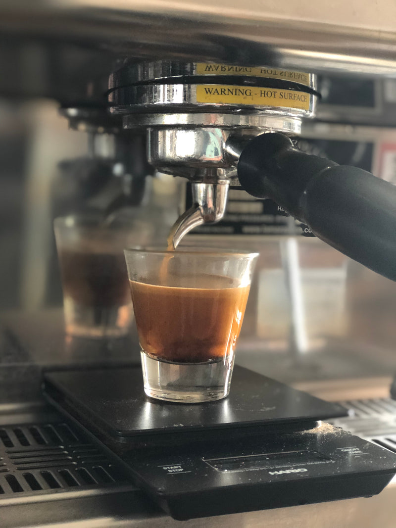 Bestslope Coffee Company in Fruita, CO (4)