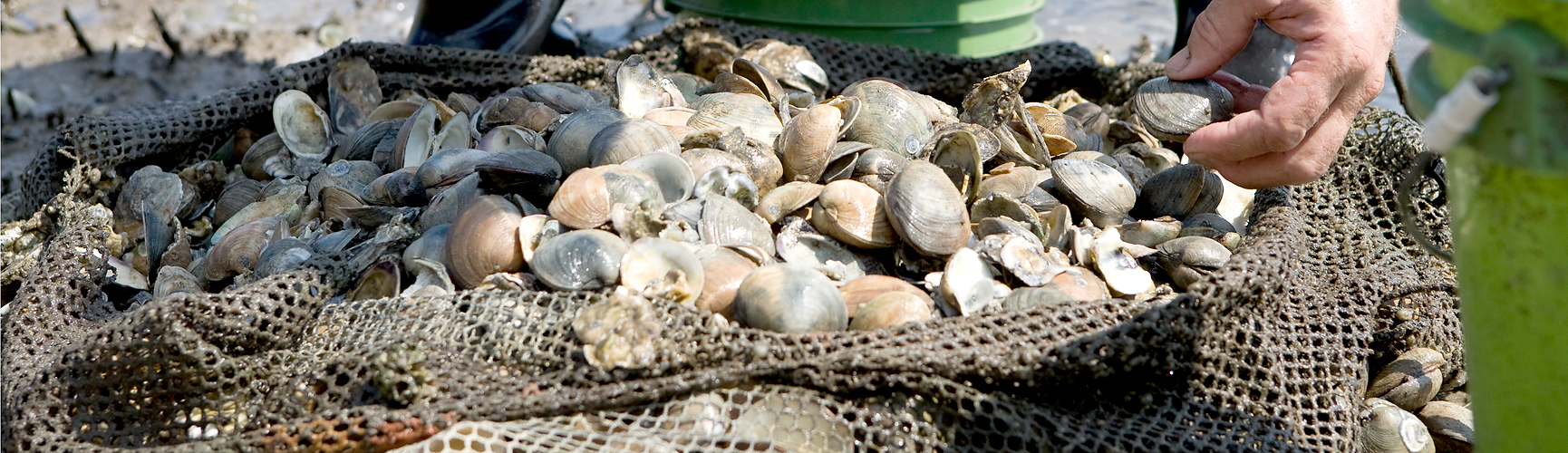 Apalachicola Homes Realty, LLC in Apalachicola, FL (4)