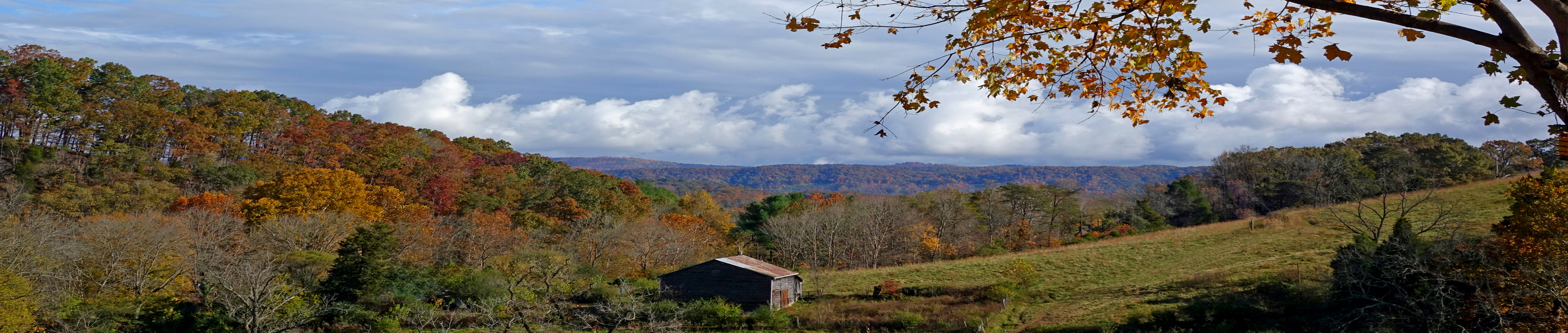 Amis Mill Eatery in Rogersville, TN (2)