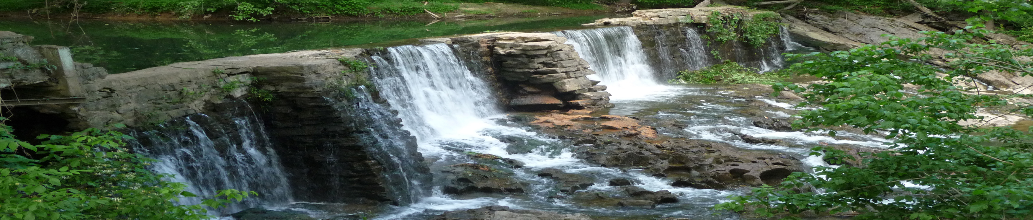 Amis Mill Eatery in Rogersville, TN (4)