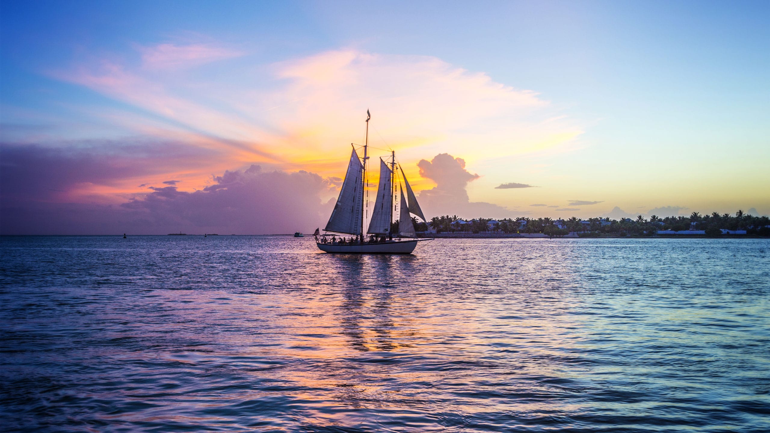 Elevate365 | Jesus Luna, Broker Associate - Downing-Frye Realty, Inc. in Naples, FL (4)