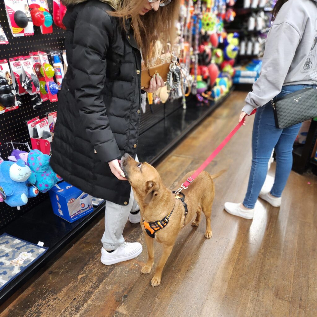 The Pet Works in Longview, WA (2)