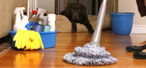 B Clean Services - House cleaning specialist in Indianapolis, IN (4)