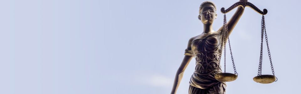 Selik Law Offices CA & NV in San Marcos, CA (5)