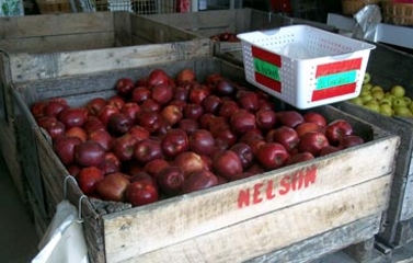 Nelson's Farm Market in Grant, MI