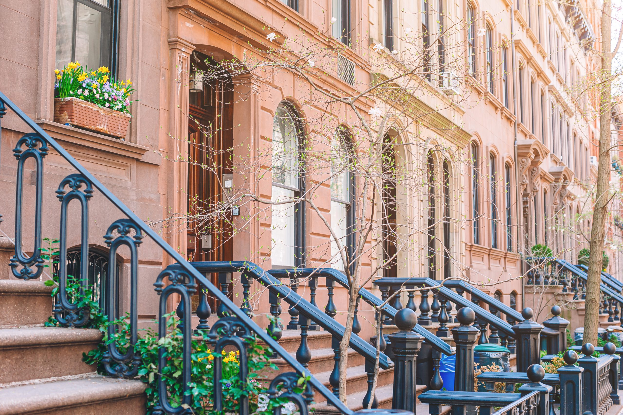 Creative Wave Realty Group in Mt Vernon, NY