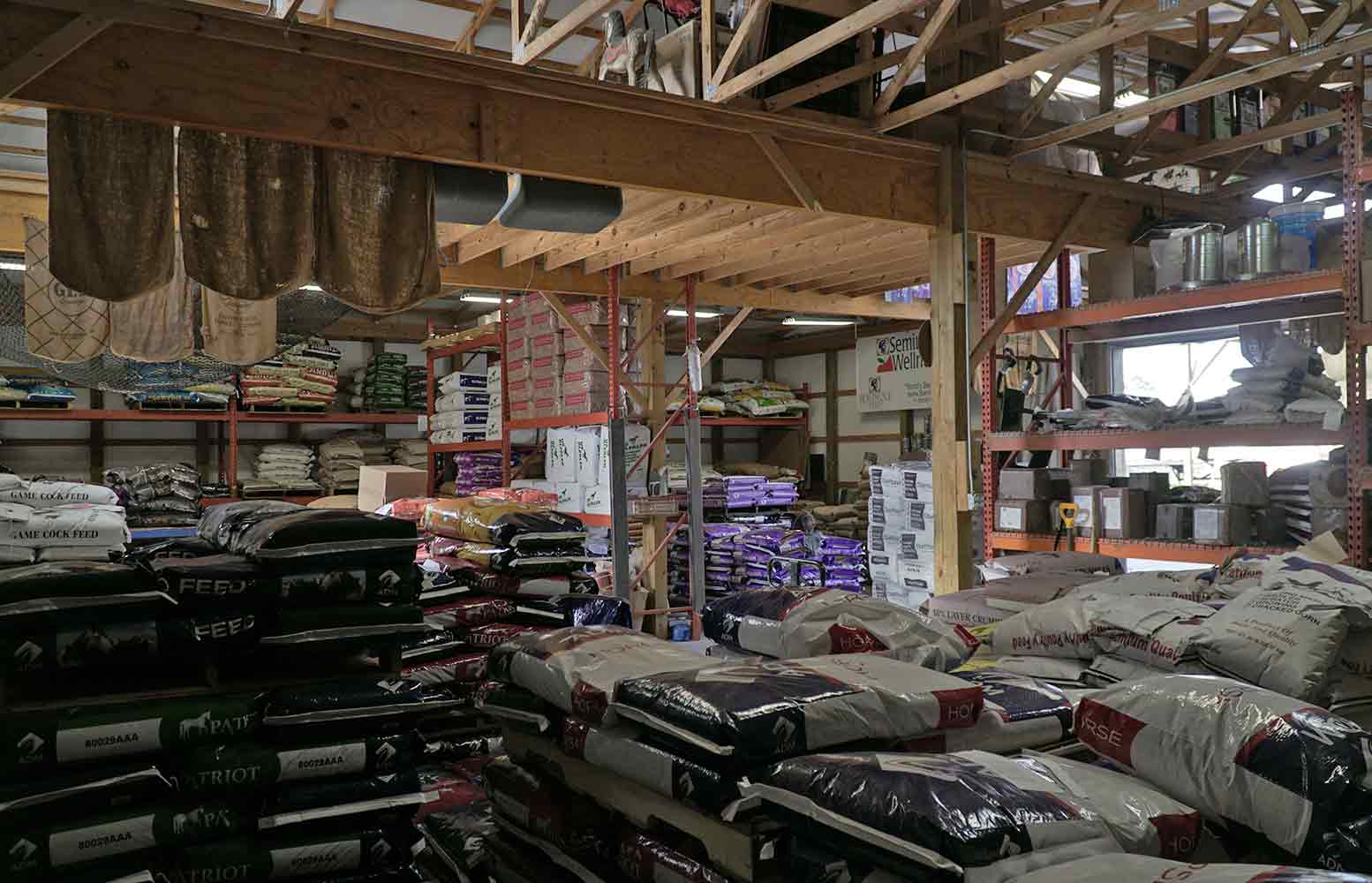 Black Horse Trading Company in Taylorsville, GA (3)