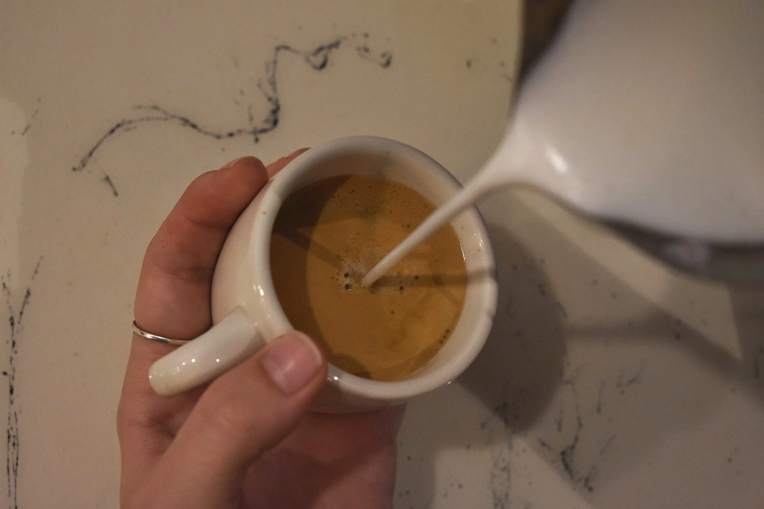 Milltown Java in Princeton, NC (6)
