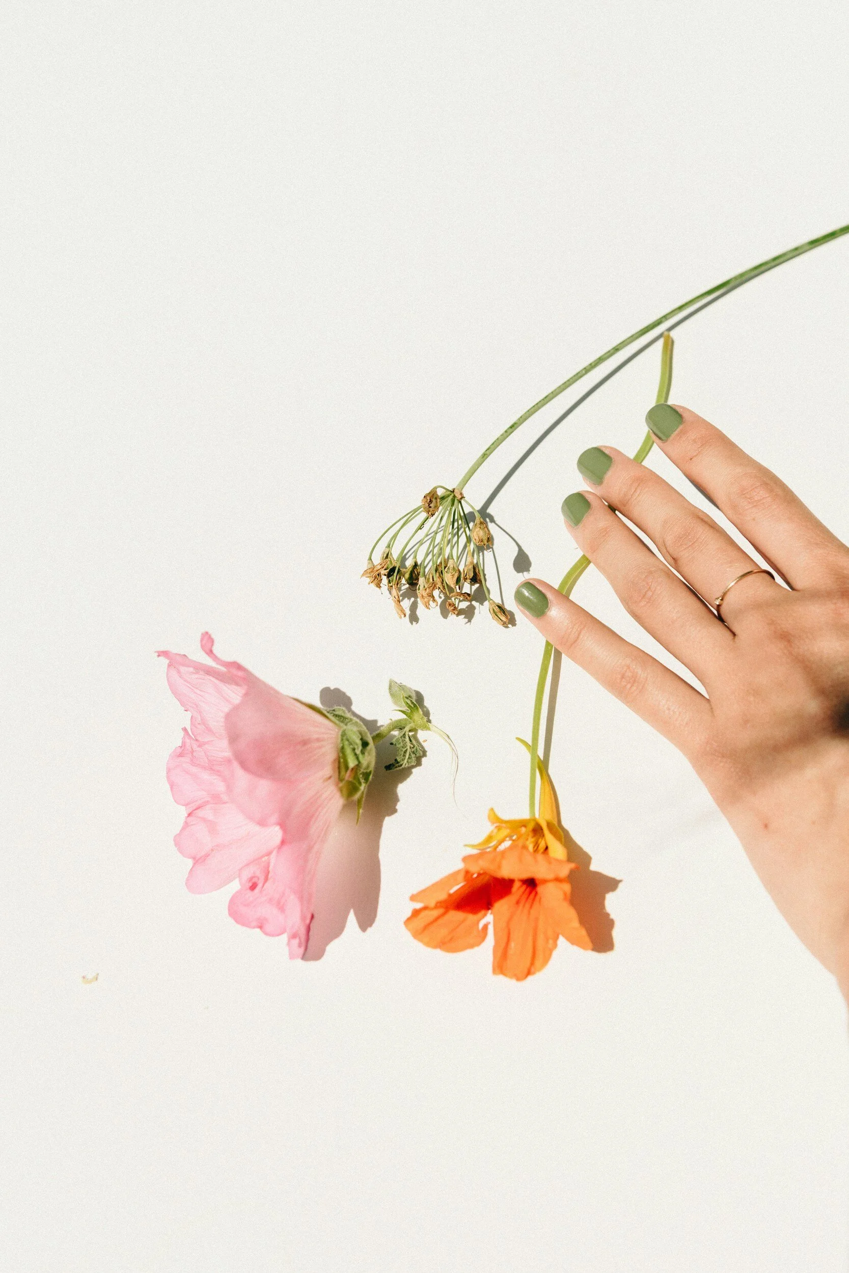 Elegant Nails & Spa in Medford, MA