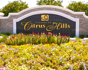 Discount Realty Florida, LLC in Crystal River, FL (2)