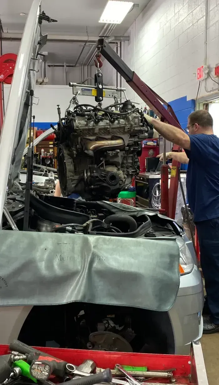 European Plus Inc in Pennington, NJ (6)