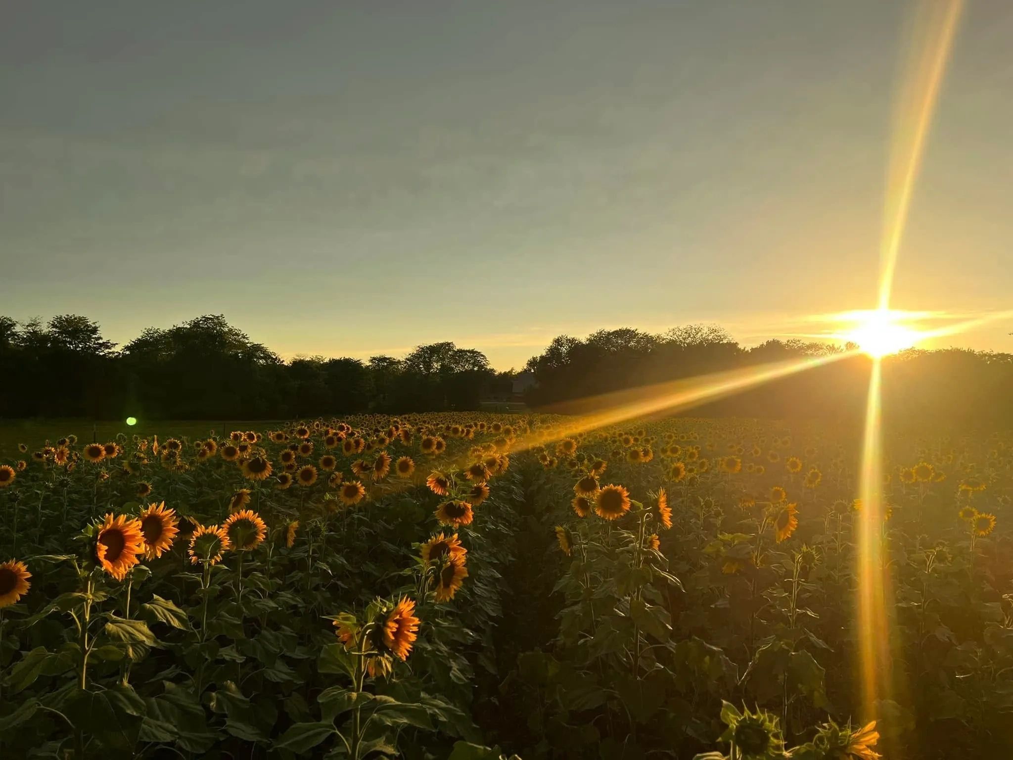 Red Barn Ranch in Harrisonville, MO