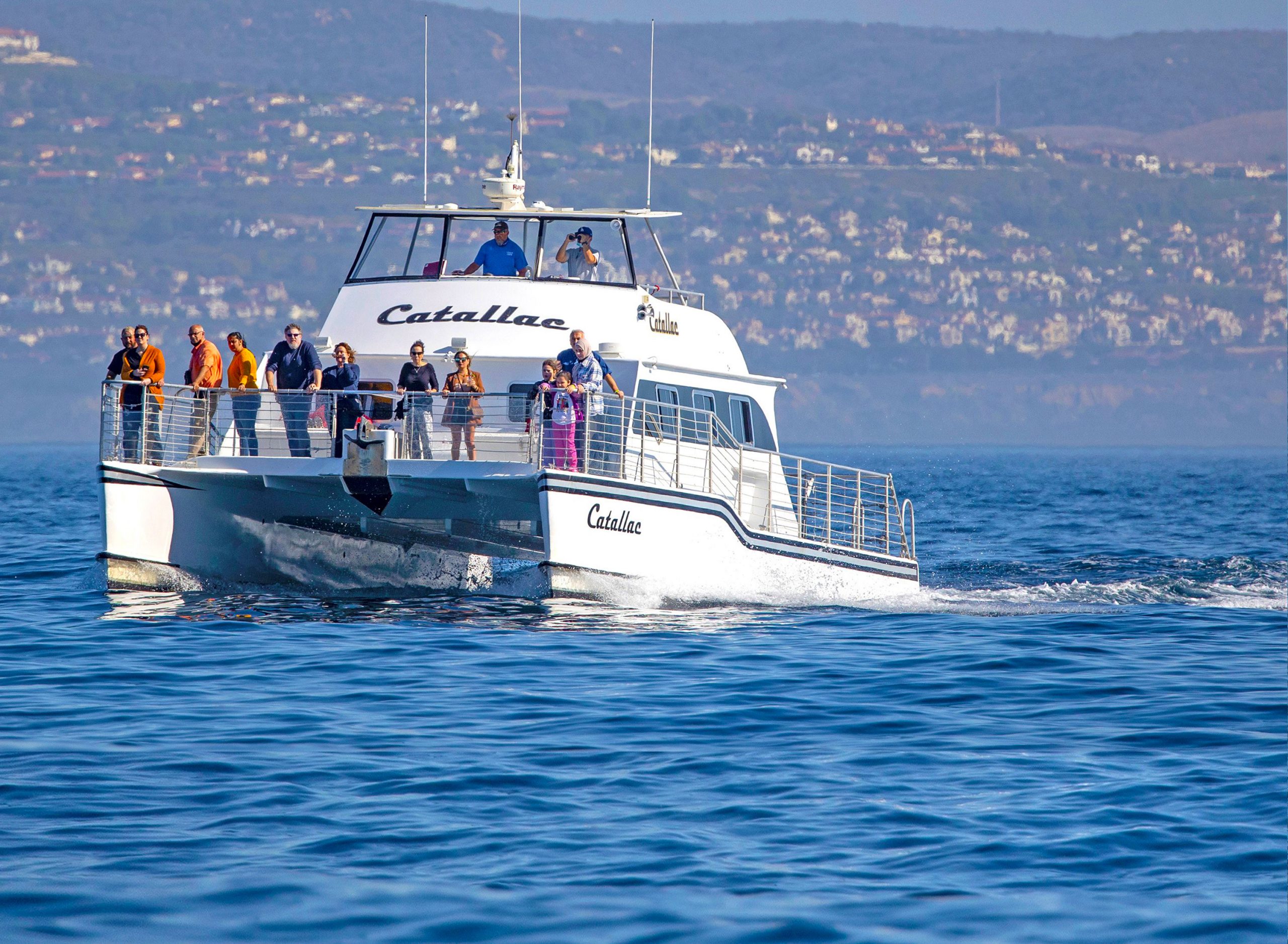 Davey's Locker Whale Watching & Sportfishing in Newport Beach, CA (2)