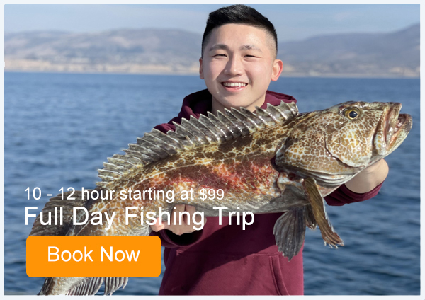 Davey's Locker Whale Watching & Sportfishing in Newport Beach, CA (6)