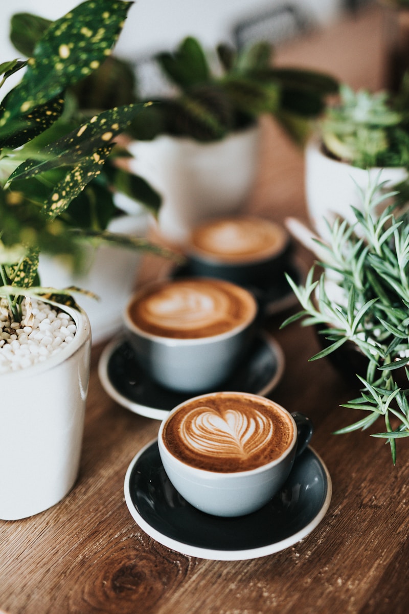 Senoia Coffee in Senoia, GA