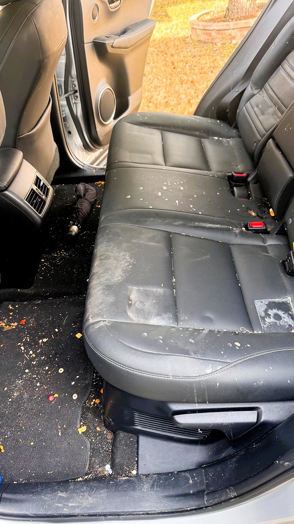Xclusive Detailing LLC in Irving, TX (4)