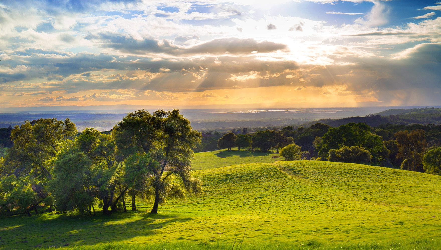 Deanna Montgomery - @home in Sacramento, CA (6)