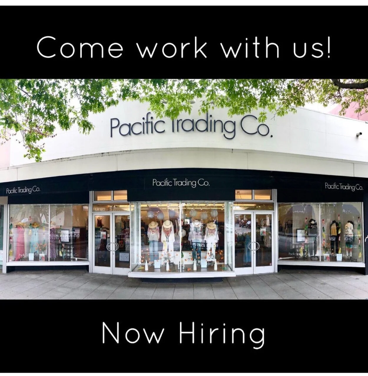 Pacific Trading Co. in Santa Cruz, CA (3)