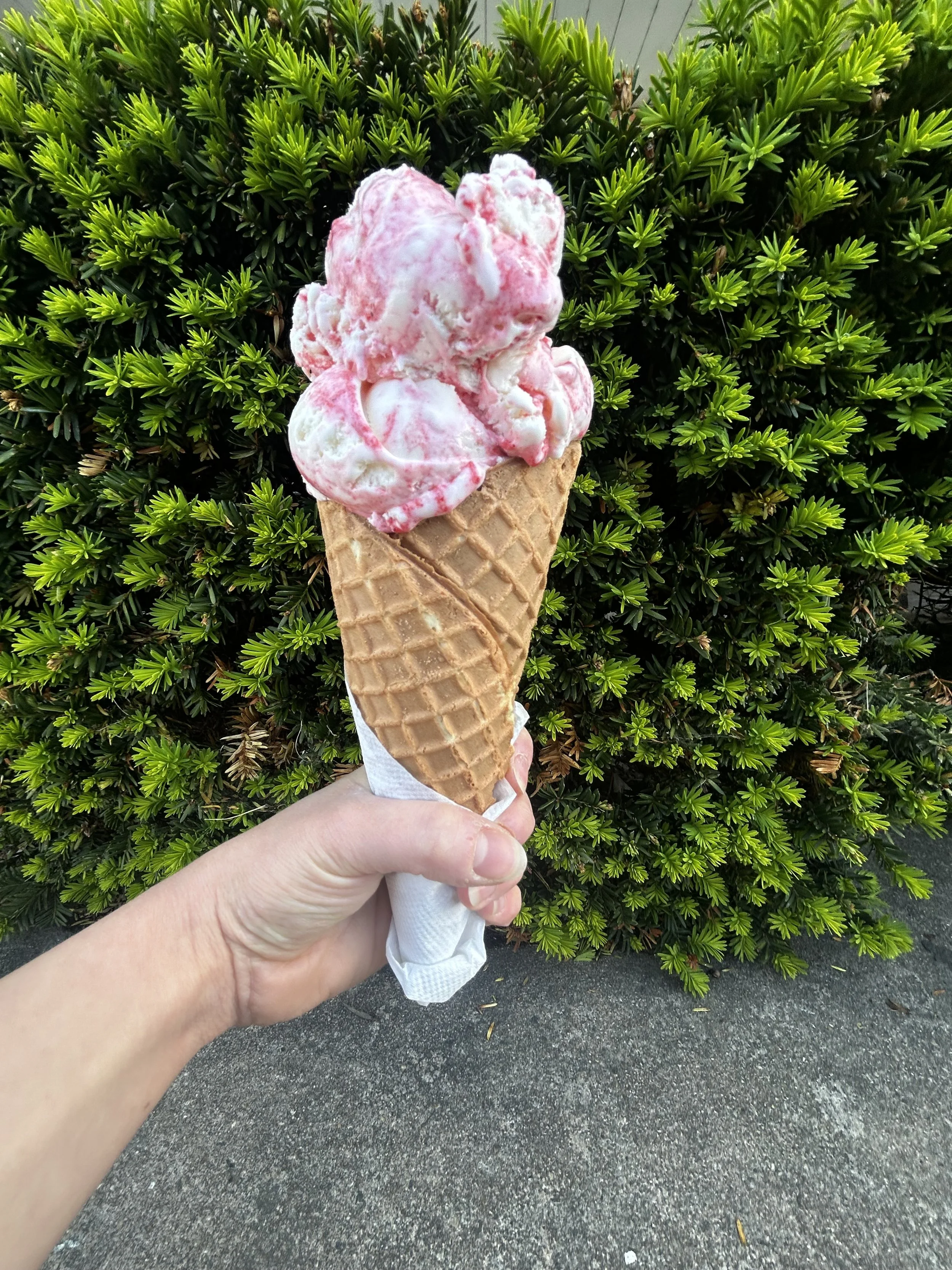 Maplehofe Dairy in Quarryville, PA