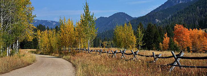 Dauenhauer Real Estate - Northwest National Real Estate in Philipsburg, MT