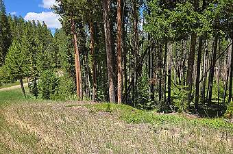 Dauenhauer Real Estate - Northwest National Real Estate in Philipsburg, MT (4)