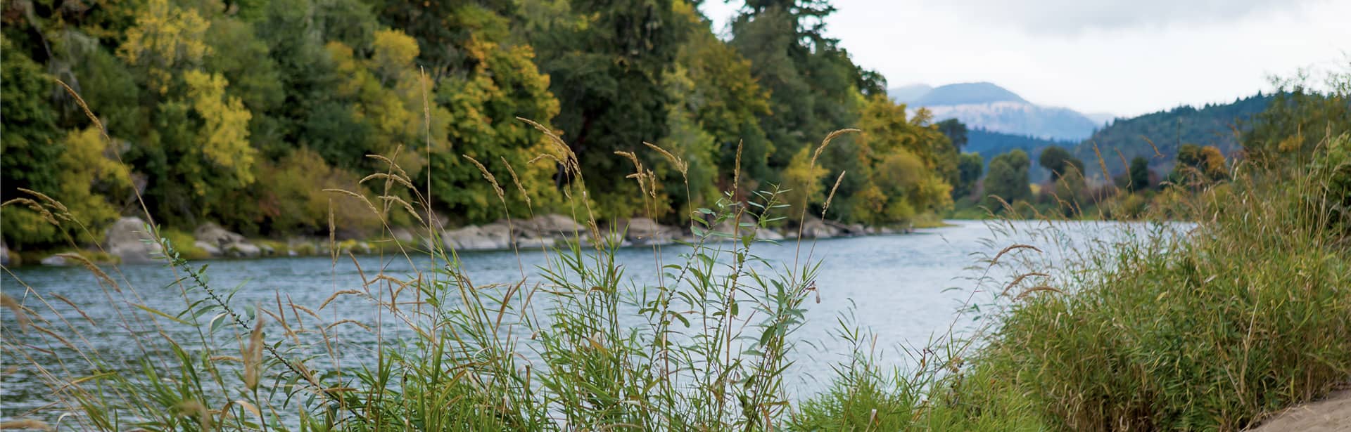 Dole Coalwell Attorneys in Roseburg, OR