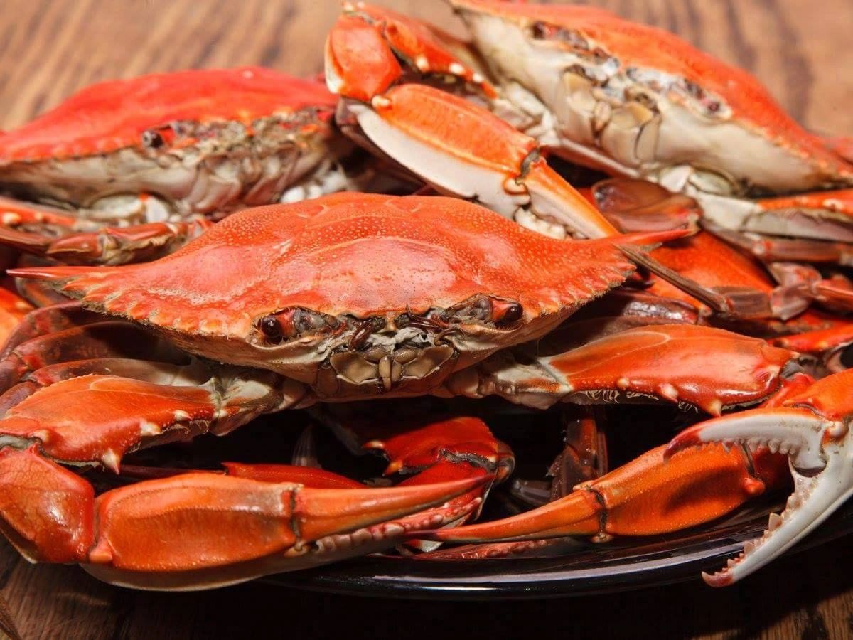 Wahoo's Seafood Co. in Kerrville, TX