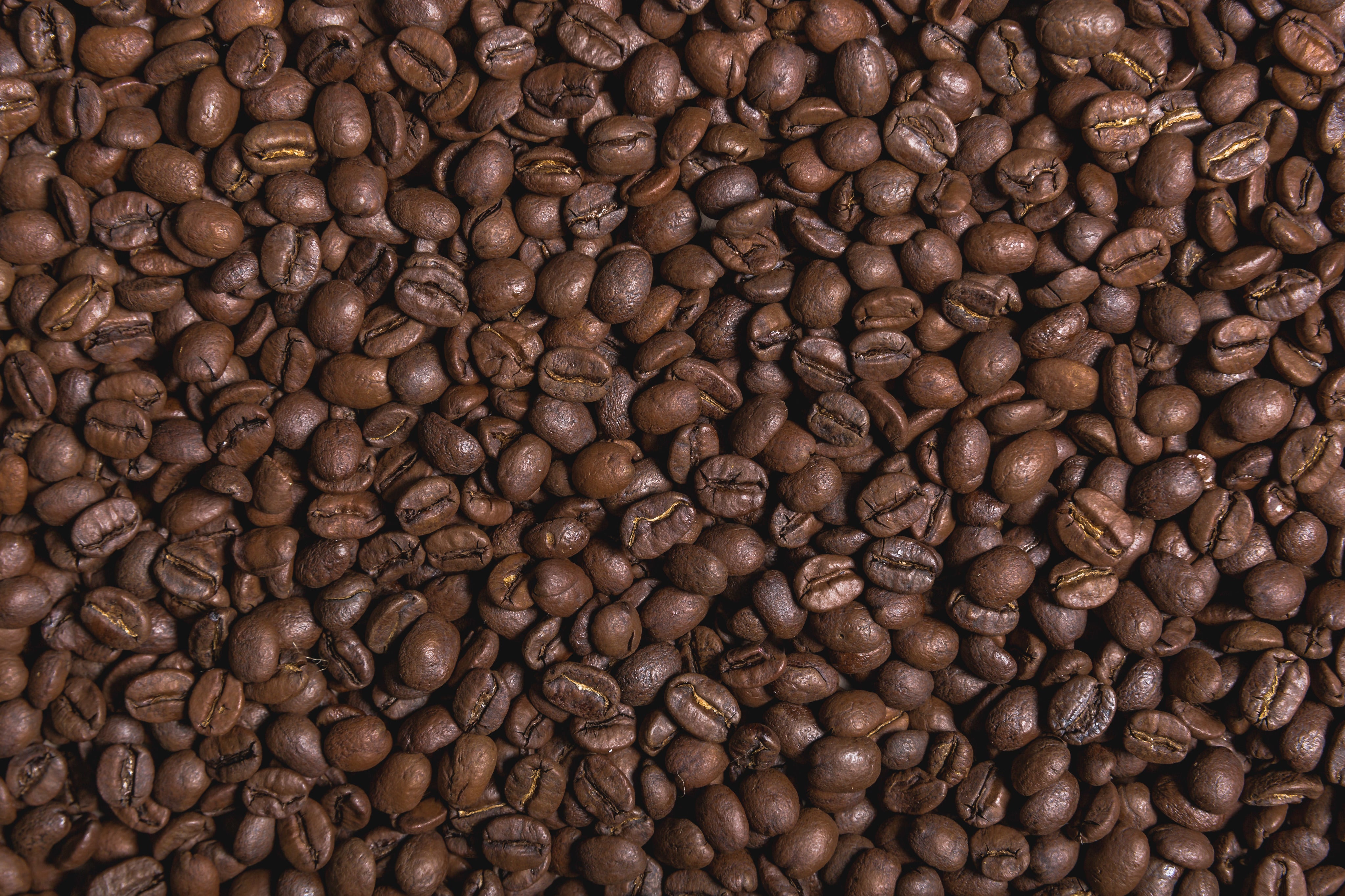 The Nickel Barn & Coffee Shop in Osseo, WI