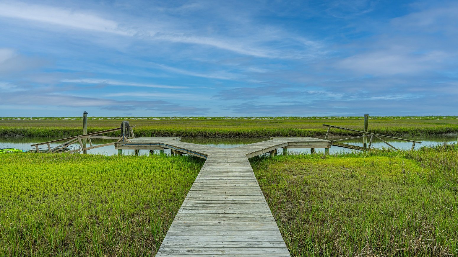 Turtle Watch in Edisto Island, SC (6)