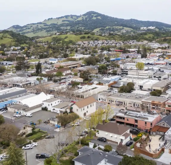 Brownstein Law Group, P.C. in Novato, CA (4)