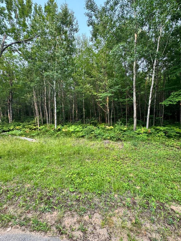 Kim Jensen, Realtor / Eliason Realty of the North, LLC in Eagle River, WI (2)
