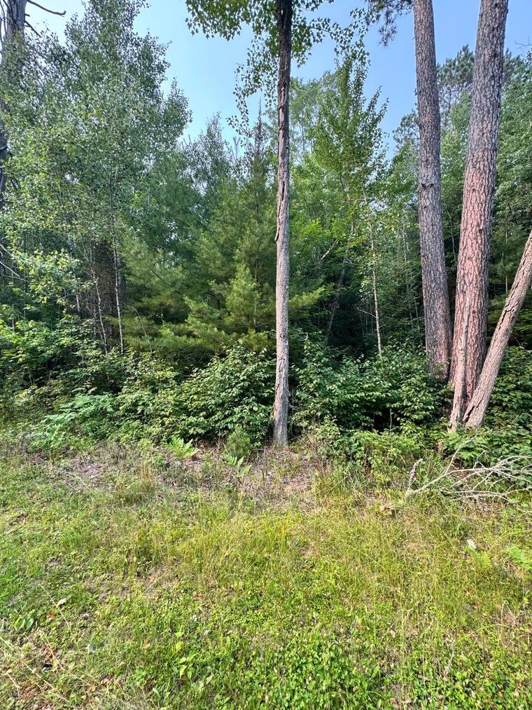 Kim Jensen, Realtor / Eliason Realty of the North, LLC in Eagle River, WI (3)