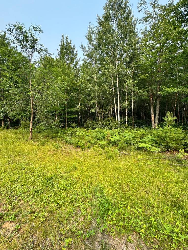 Kim Jensen, Realtor / Eliason Realty of the North, LLC in Eagle River, WI (5)
