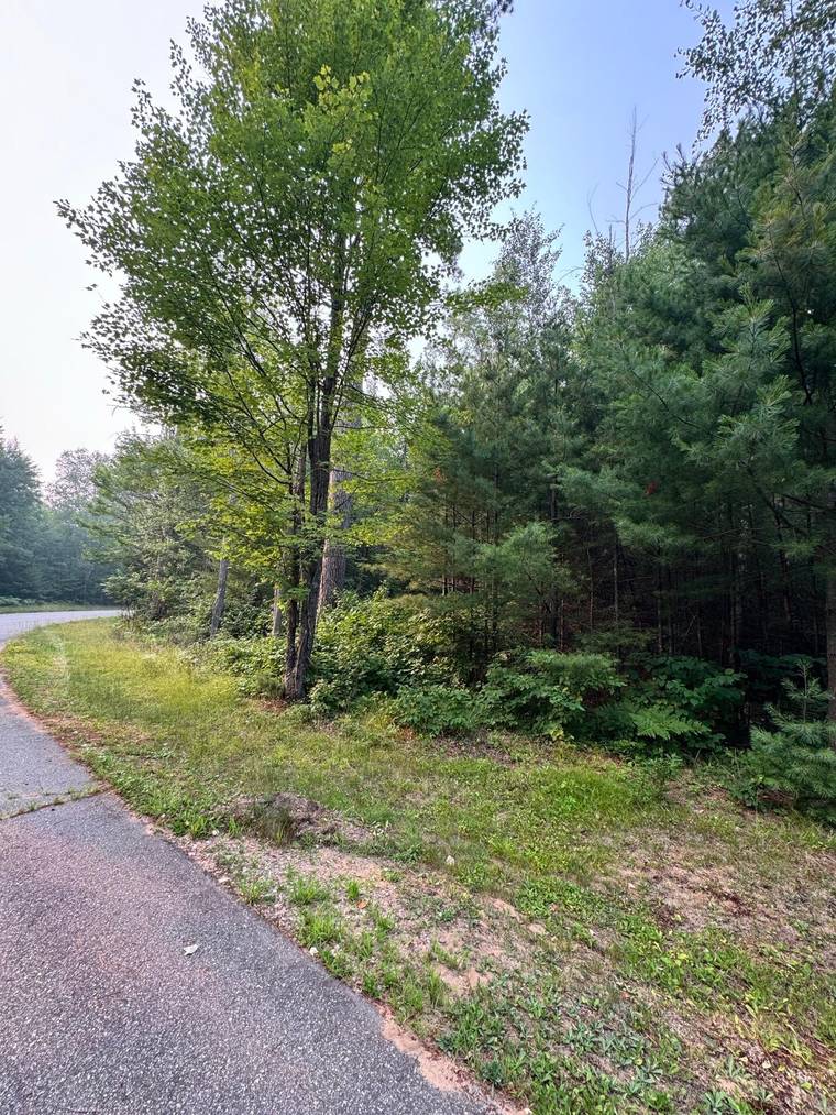 Kim Jensen, Realtor / Eliason Realty of the North, LLC in Eagle River, WI (6)