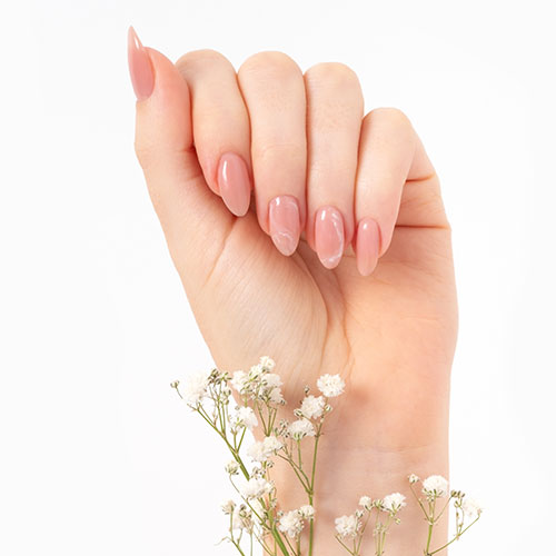 Venus Nails & Spa in Iowa City, IA (6)