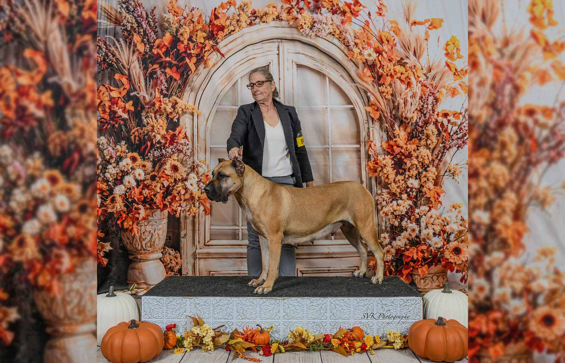 Cabeza Grande Kennel in Pocahontas, IL (3)
