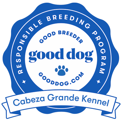 Cabeza Grande Kennel in Pocahontas, IL (5)