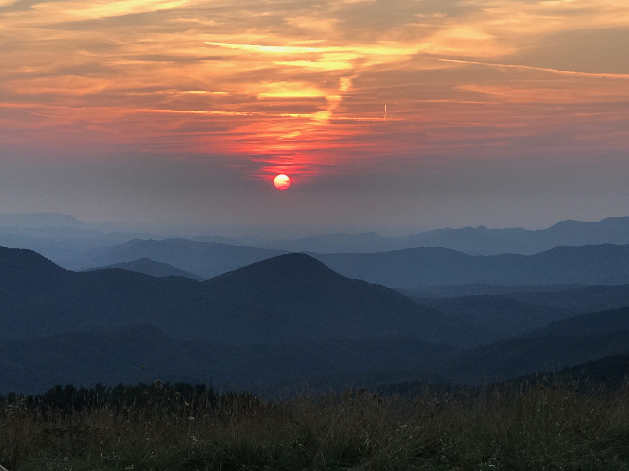 Alexandra Schrank RE/MAX Executive in Asheville, NC (2)