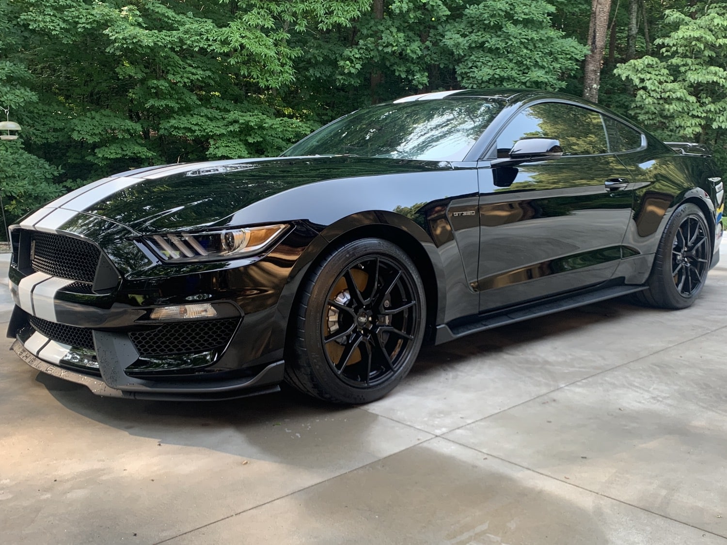 Outstanding Car Detailing in Knoxville, TN (2)