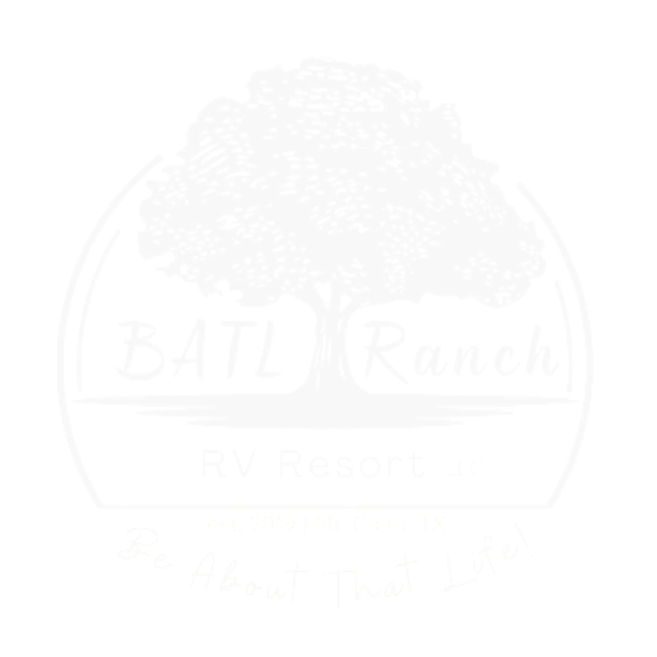BATL Ranch RV Resort LLC in Mt Calm, TX (6)