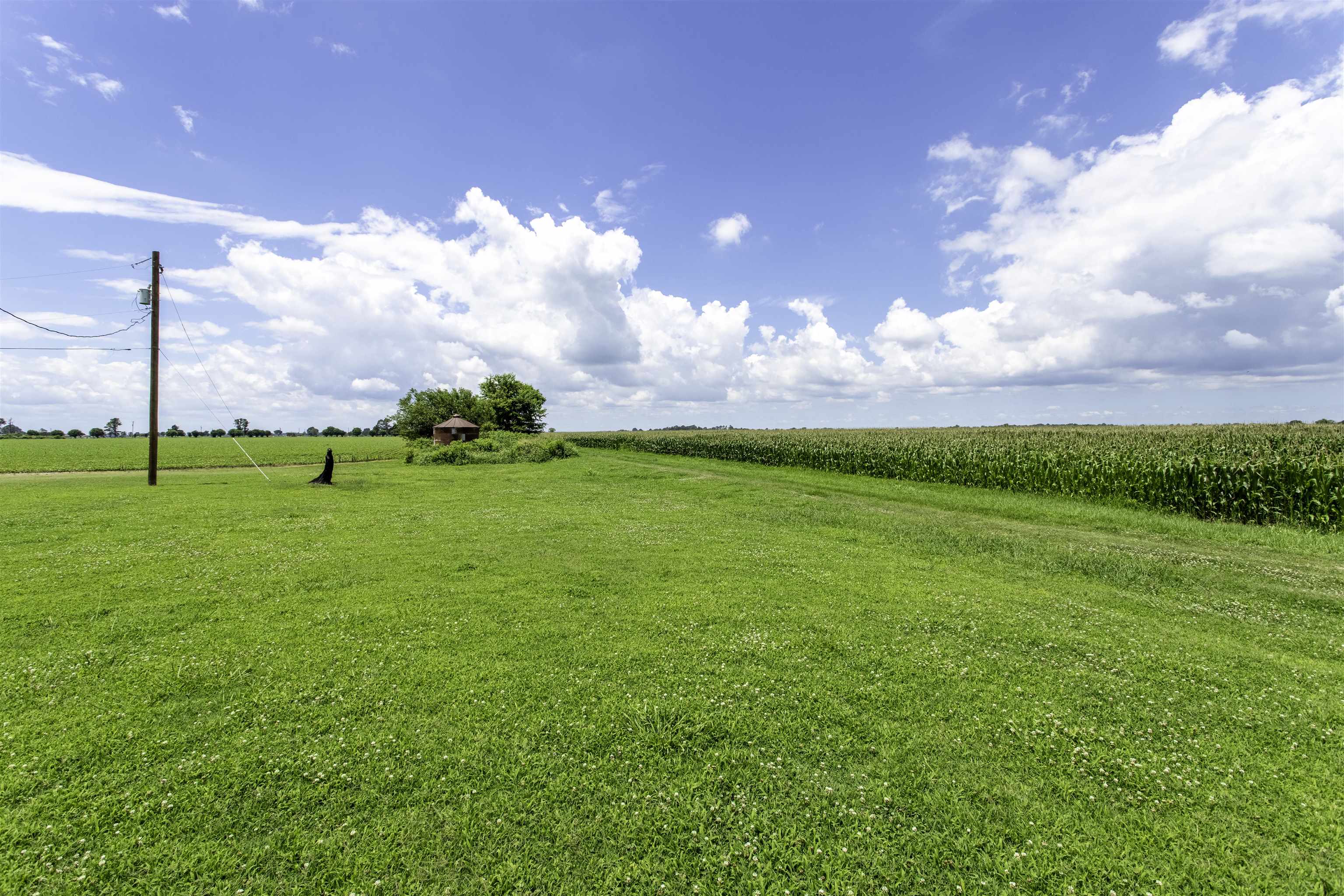 Scenic Rivers Realty in Imboden, AR (3)
