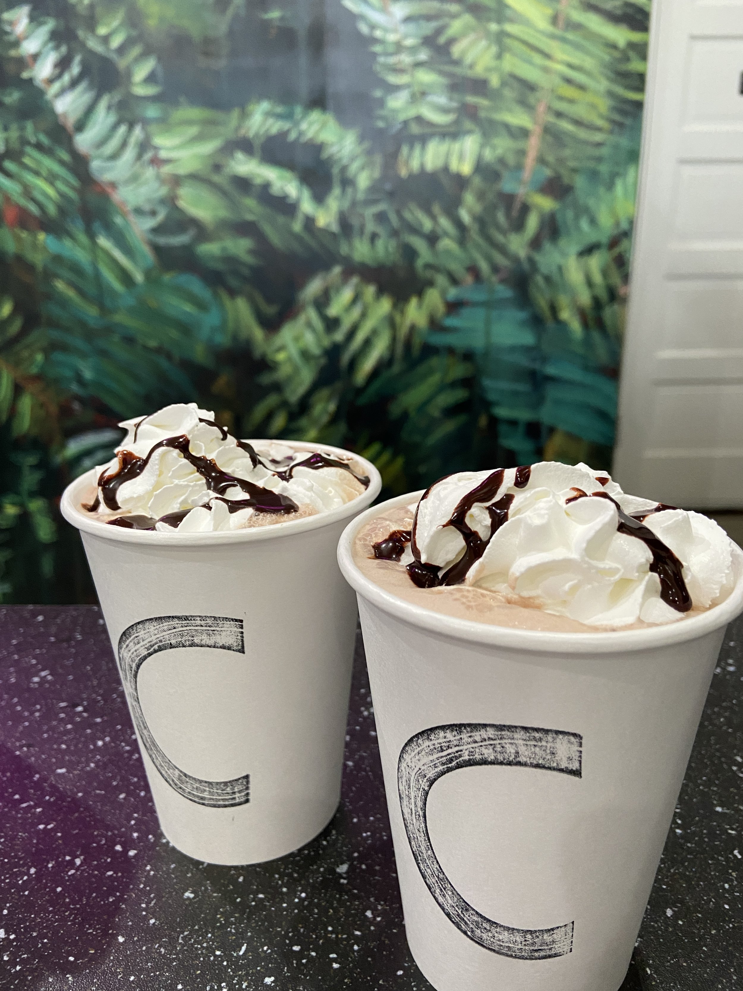Cambium Gallery + Coffee Bar in Astoria, OR (2)