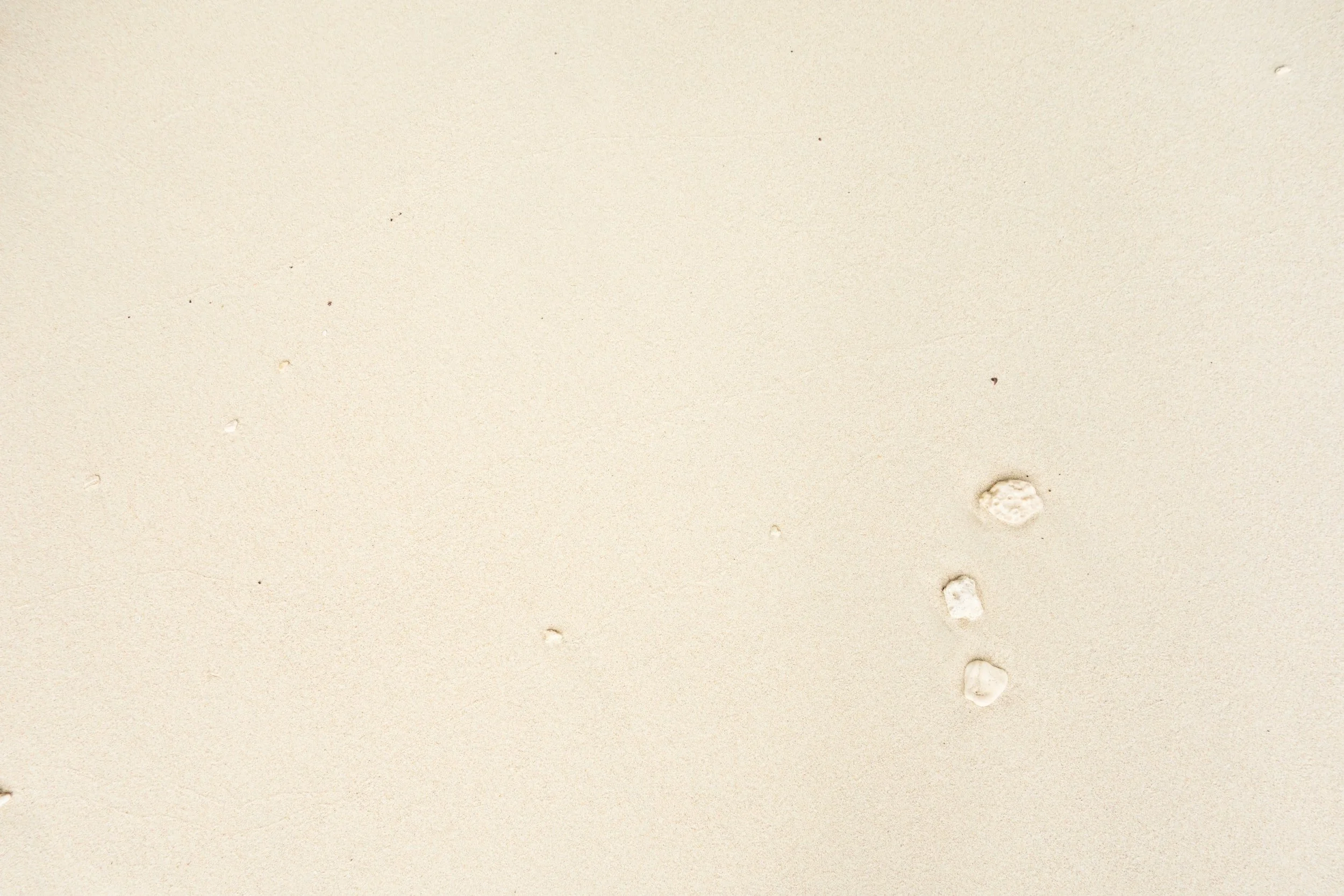 Sand Bar Beauty in Largo, FL (3)