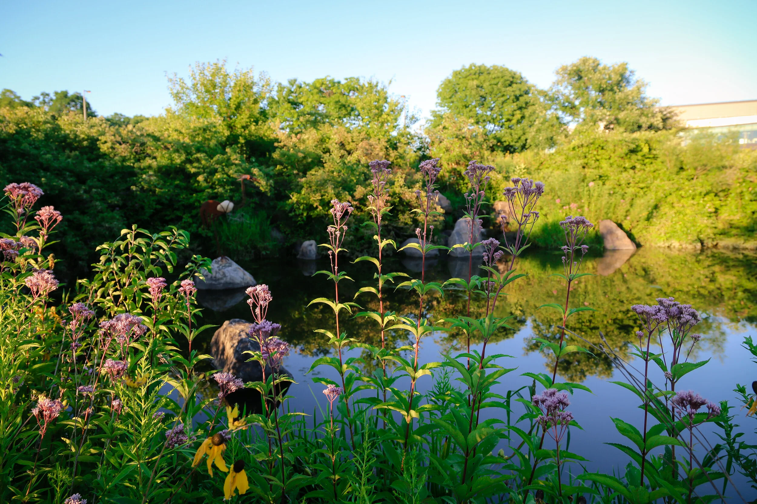 Kneaded Relief Day Spa & Wellness in Fitchburg, WI (2)