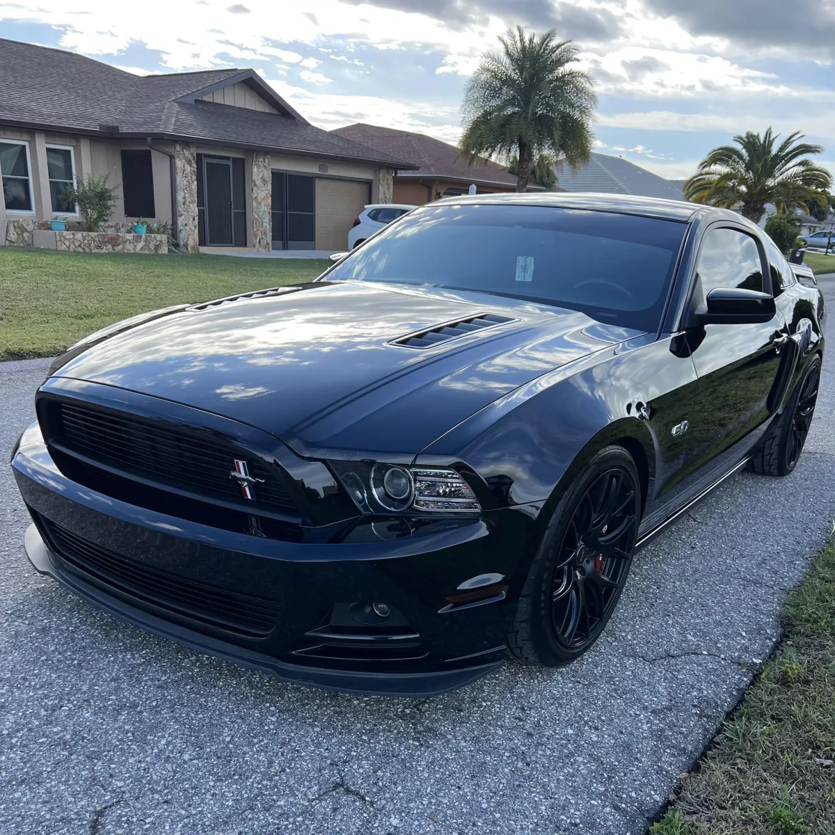 Agent Frog's Mobile Detailing in Venice, FL (5)