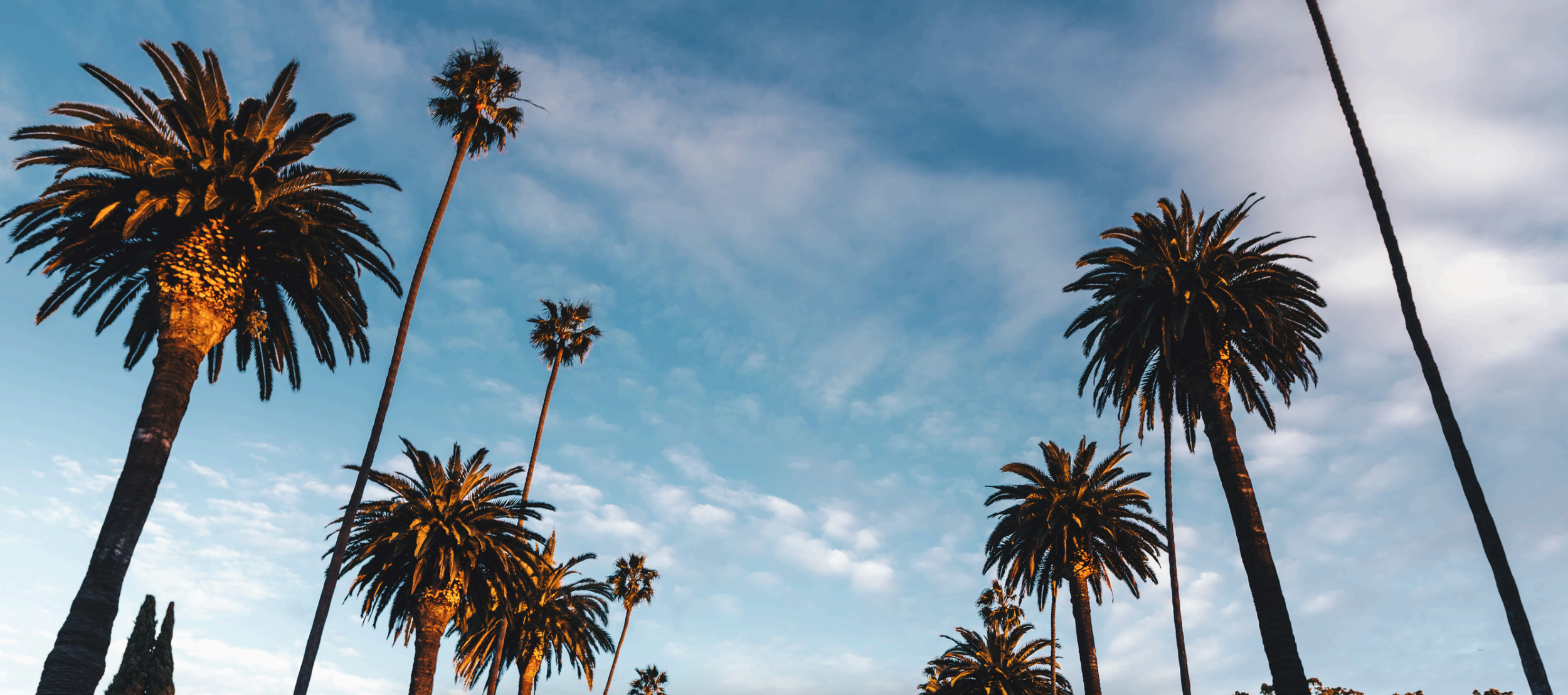 Philippe Properties in Santa Monica, CA (2)