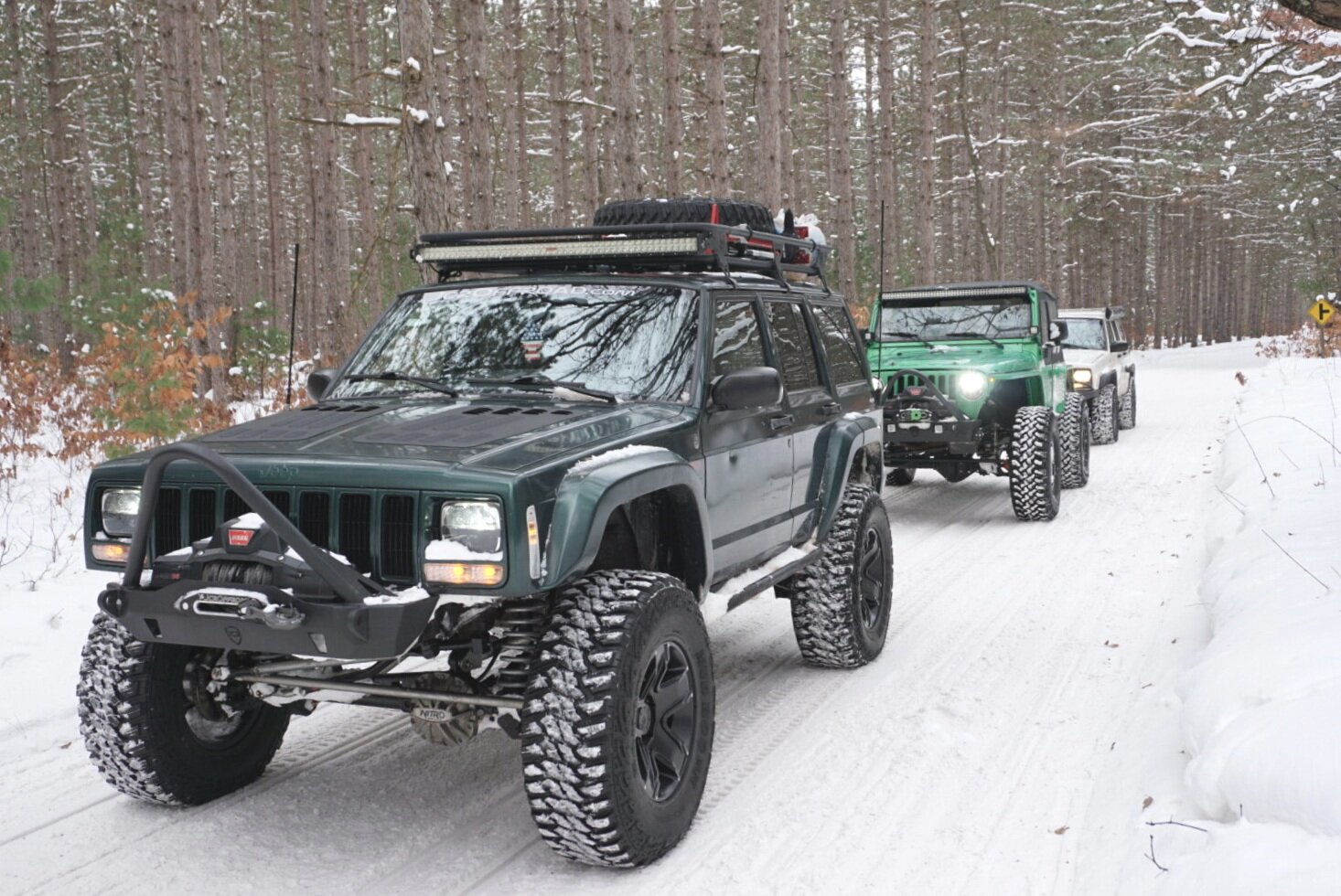 Black Bear Off-Road in Buford, GA (6)