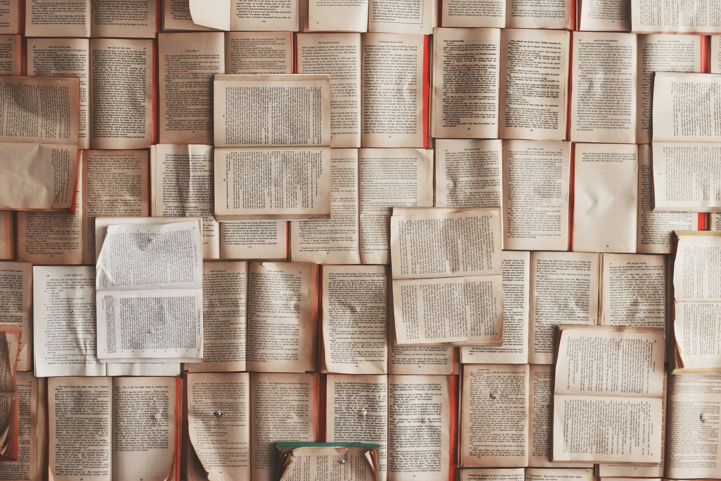 Dog-Eared Books in Raleigh, NC