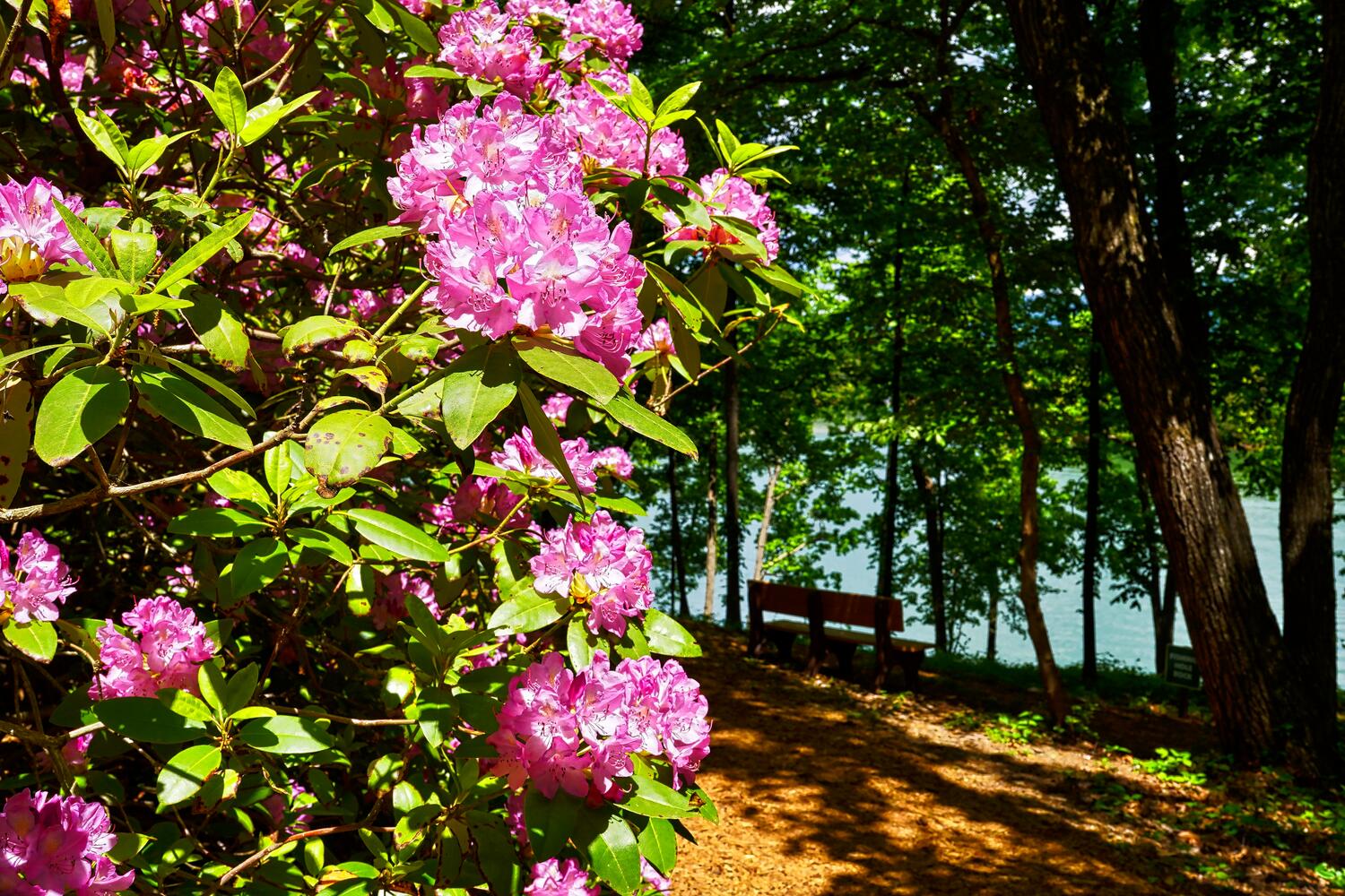 Mountain Realty in Hiawassee, GA (5)