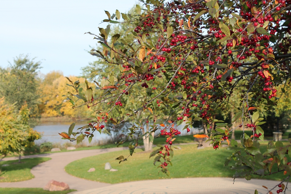 Donnellan Real Estate in Eau Claire, WI (3)